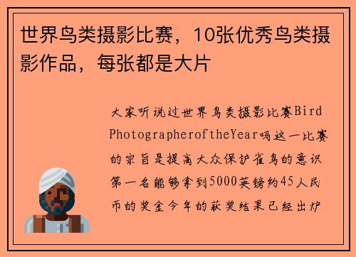 世界鸟类摄影比赛，10张优秀鸟类摄影作品，每张都是大片